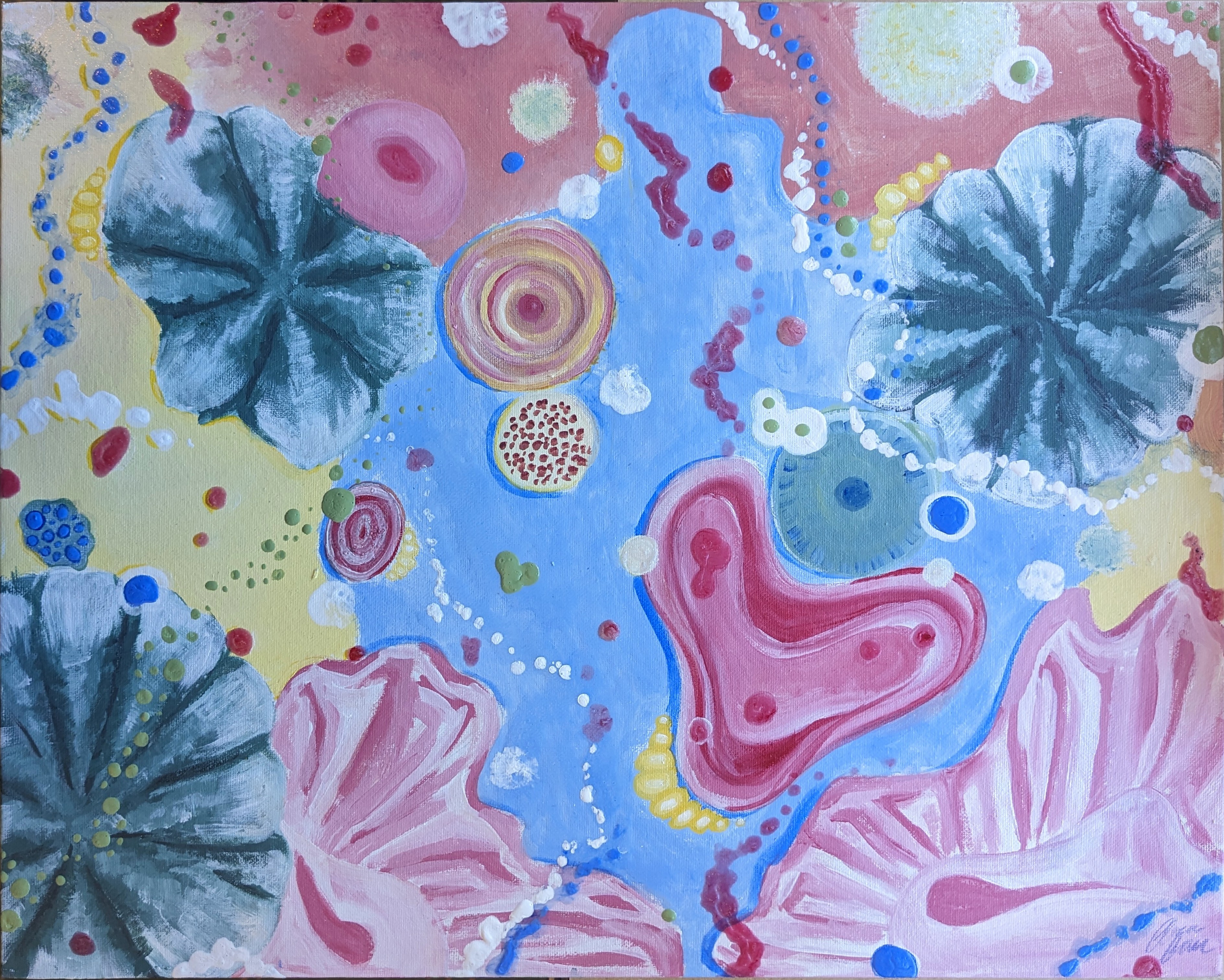 Petri Paradise